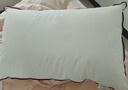 水星家纺枕头枕芯酒店枕头护颈枕头芯家用单个纯棉抗菌可水洗中枕48x74cm 实拍图