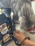 希宝（Sheba）小魔勺幼年期成年期猫宠物零食含香嫩鸡肉鲣鱼巴丁鱼配方10g*32勺 实拍图