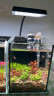 尼奥光 NEO-HELIOS鱼缸灯水草灯LED灯S3proRGB植物光谱 13W新款尼奥S3pro+【高亮自然版双倍亮度】 实拍图