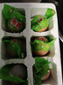 岽鲜活珠子新鲜13天五香香辣味开袋即食毛蛋活珠子鸡胚蛋熟钢化蛋鸡蛋 五香活珠子 50g*20枚 实拍图