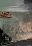 三只松鼠手剥巴旦木500g/袋装 坚果炒货干果扁核桃杏仁零食送礼  实拍图