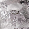 MZMZ如初铂金戒指PT950情侣对戒白金一对求结婚钻戒元旦节生日送女友 本地仓当次日达-轻奢活口对戒【热销推荐】 实拍图