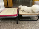 贝初众狗窝四季通用狗狗睡垫宠物狗窝中小型犬狗垫子睡垫猫窝防水防撕咬 S-35*45*4cm（适合6斤内宠物） 防水隔湿更透气/耐磨耐撕咬 不粘毛好清洁/可水洗/可甩干 实拍图