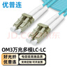 优普连 电信级万兆多模光纤跳线lc-lc-FC-SC-ST OM3多模双芯尾纤 抗弯曲数据机房专用光纤线 OM3万兆多模双芯LC-LC 双工头 3米 实拍图
