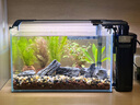 疯狂水草（FKSC）溪流石头鱼缸沙子底砂底沙溪流沙鱼缸造景观装饰溪流缸造景石套餐 实拍图