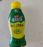 云山半0脂肪俄式酸黄瓜1斤 俄罗斯风味精选新鲜黄瓜半加工蔬菜下饭菜 实拍图