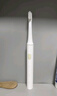 小米（MI） 米家声波电动牙刷T100家用成人情侣男女儿童充电全身水洗细软毛刷头牙刷长续航七夕礼物推荐 米家电动牙刷T100粉+刷头套装 实拍图