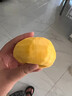 春福乐黄金蟠桃【源头直发】山东蒙阴黄毛蟠桃扁桃子当季新鲜水果现摘 5斤严选装丨果农手挑丨净重4.5斤 黄金毛蟠桃 实拍图