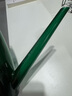 VMP 洒水壶 园艺浇花淋花喷壶 家用喷水壶 长嘴浇花壶 盆栽浇水器 浇花神器 LZ5322 墨绿 实拍图