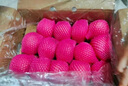京鲜生 山东栖霞红富士苹果精品12粒 单果190g-240g  生鲜水果 礼盒 实拍图