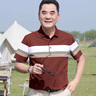 宝财羊爸爸装桑蚕丝短袖t恤男夏季条纹polo衫中老年人上衣服父亲节礼物 实拍图