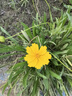 名爵（MEJUE）花洒软管防缠绕淋浴器防爆管子淋雨冷热沐浴水管黑色软管5313 实拍图