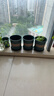 墨斗鱼花盆加仑盆加厚高款1.5加仑*3多肉绿萝月季盆栽树脂塑料简约托盘 实拍图