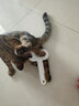 HELLOJOY狗狗梳子猫毛清理狗毛梳毛刷猫咪宠物用品中大型犬针梳去浮毛神器 实拍图