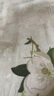 红袖新中式碎花半身裙夏季新款女装气质高腰开叉国风雪纺长裙 绿花602 M 实拍图