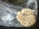 百悍卫生间肥皂盒壁挂式收纳盒吸盘香皂盒贴墙置物架免打孔沥水 实拍图