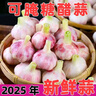 春平赋2025年新鲜大蒜头现挖新蒜紫皮大蒜批发鲜蒜红皮蒜糖醋湿蒜 9斤含箱【果径3-5cm] 4500g 实拍图