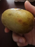 佳沛（zespri）新西兰  阳光金奇异果16粒礼盒经典果单果约 77-103g 水果 猕猴桃 实拍图