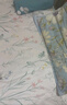 多喜爱A类可水洗软凉席 宿舍单人席子两件套195x90cm【可机洗 可折叠】 实拍图