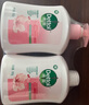 滴露（Dettol）洗手液抑菌滋润450g*2+松木450g*2儿童家庭补充装消毒温和护手 实拍图