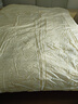 钱皇黄金丝贵族蚕丝被  100%桑蚕长丝 冬暖被 4斤 220*240cm 黄色 实拍图