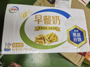 伊利7月新货早餐奶核桃/麦香味牛奶250ml*24盒学生营养早餐整箱 【7月】核桃味250*24盒 实拍图