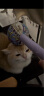 皇家成猫猫粮 肠道舒适 EP42通用粮12月以上2KG 实拍图