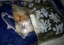 初鲜大号冷冻带黄扇贝肉400g30-50颗烧烤火锅食材 海鲜贝类端午聚餐 实拍图