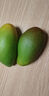 京喜加海南贵妃芒果 新鲜水果甜心芒果热带现摘红金龙芒果整箱水 贵妃带箱两斤70g+ 实拍图