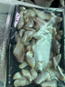 三去马面鱼耗儿鱼剥皮鱼去头去皮去内脏火锅食材海鲜水产 1盒【共400g】小马面鱼 实拍图