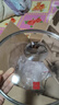 三禾0涂层炒锅无涂层不粘锅电磁炉通用304不锈钢钛炒菜锅30cmLC30S11 实拍图