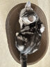 阿飞和巴弟猫粮E76益生菌全价冻干双拼猫粮成猫幼猫粮2kg*5袋装10kg 实拍图