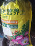美乐棵磷酸二氢钾盆栽绿植促花开花花卉植物水溶肥肥料花肥500G 实拍图