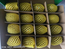 佳沛（zespri）新西兰  阳光金奇异果16粒礼盒经典果单果约 77-103g 水果 猕猴桃 实拍图