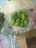 鲜级佳2025新鲜橄榄正宗青橄榄果生青果福建闽清檀香榄煲汤回甘水果现摘 250g 实拍图