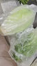绿食者 新鲜包心罗马生菜500g 罗马罗纹生菜凯撒沙拉蔬菜 西餐沙拉食材 实拍图