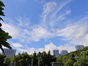罗蒙（ROMON）短袖t恤男夏季纯色polo中青年凉感翻领T恤衫1406 实拍图