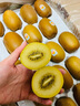 佳沛（zespri）新西兰  阳光金奇异果16粒礼盒经典果单果约 77-103g 水果 猕猴桃 实拍图