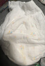 五羊（FIVERAMS）拉拉裤肌肤之柔成长裤XL20片(12-17kg)婴儿尿不湿超薄透气瞬吸【品牌直供 安心品质】 实拍图