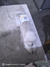 拜宠清德国进口拜宠清拜耳犬用体内驱虫药拜宠清复方非班太尔除蛔虫绦虫 拜耳拜宠清体内驱虫药6粒一盒（2026年1） 实拍图