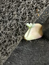 箭牌（ARROW）水龙头防溅头延伸器厨房万向旋转转接头面盆菜盆起泡器过滤出水嘴 5942-W 实拍图