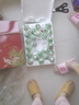 红太阳 高邮正宗红心流油咸鸭蛋特级 26枚*80g 礼盒装 高邮特产咸淡适中 实拍图