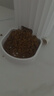 PAPIFEED自动喂食器猫咪小型智能投喂器定时定量喂猫器猫粮狗粮远程喂食机 实拍图