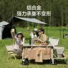 【9成新】牧高笛（MOBIGARDEN）LINE FRIENDS联名 户外露营便携野餐垫 NX21663001 可妮兔粉印花   实拍图