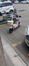 飞鸽 FG FLYING PIGEON电动车锂电成人女生女士小型电动自行车轻便电单车2025新款电瓶车两轮车 蜜璃粉【新升级款/可上牌照/智能快充】 【铅酸】12A石墨烯/可提充电/助力续航70km 实拍图
