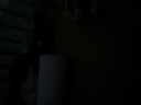 长城无线家用摄像头手机远程监控器360度无死角带夜视全景全景语音对话农村家庭室外高清户外防水球机 实拍图