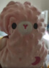 澳贝（auby）婴幼儿玩具豆豆绒小兔子毛绒安抚玩偶可入口水巾哄睡+牙胶啃咬 实拍图