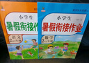 新版二年级下册 暑假作业语文+数学（共2本）部编人教版 2升3年级暑假衔接作业（复习+预习） 实拍图