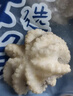 美加佳 三去迷你章鱼仔 净重1斤 火锅八爪鱼 去牙去脏小章鱼 海鲜水产 实拍图