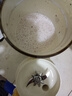 小熊（Bear）榨汁杯 无线榨汁机小型 便携式可碎冰果汁机水果搅拌机 家用多功能随行杯 双杯国家补贴 LLJ-K04V2 实拍图